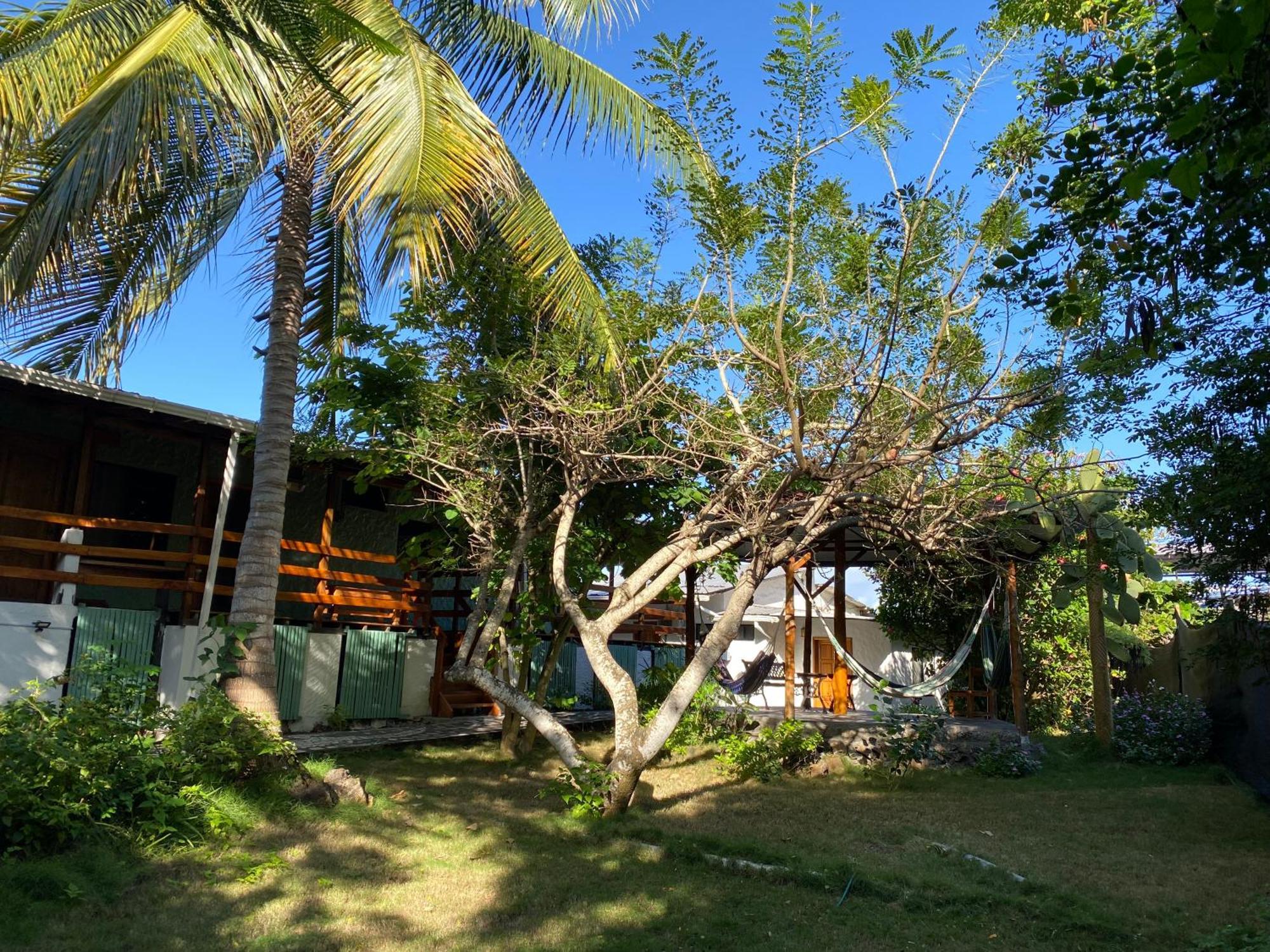 La Peregrina Galapagos B&B Puerto Ayora  Exterior photo